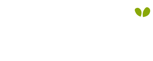 brightlykids.fun